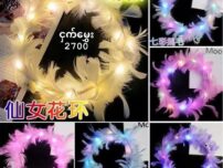 2700-10 ငှက်မွှေးဝိုင်းမီးလင်း  (10pcs)