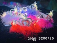 3200-20 သရဖူ