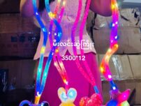 3500-12 မီးလင်း ဆွဲကြိုး