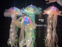 6500-12 ရေခူ
